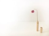 【SEESEE×BOTANIZE（シーシー×ボタナイズ）】DRY FLOWER BASE/mascara(マスカラ)