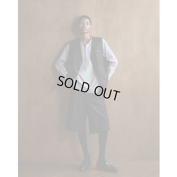 画像7: 【BISOWN(ビソウン)】STRIPE PULLOVER SHIRTS/ BLUE STRIPE