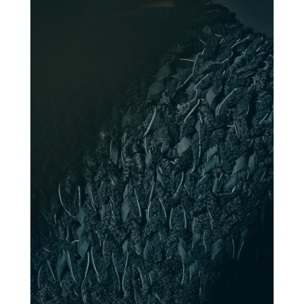 画像7: 【GOODKARMA DEVELOPMENT(グッドカルマディベロップメント)】“CHARLIE”/ BLACK