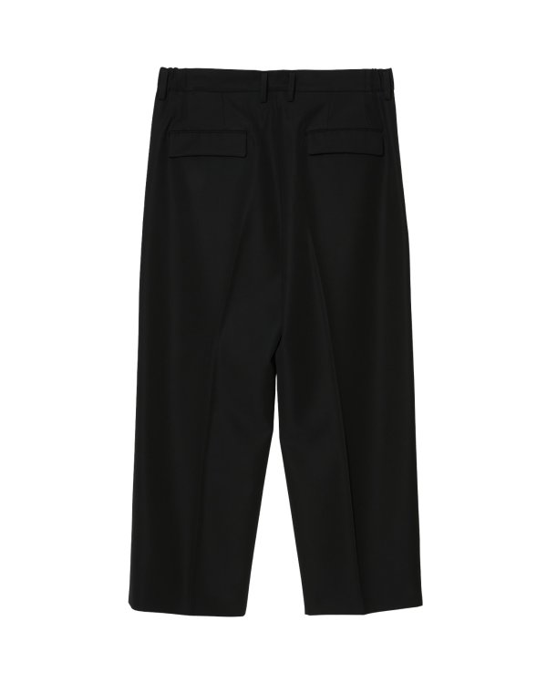 画像2: 【IRENISA(イレニサ)】TWO TUCKS WIDE TROUSERS/ BLACK