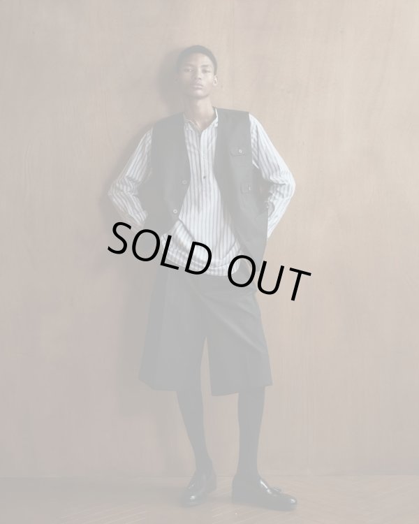 画像7: 【BISOWN(ビソウン)】STRIPE PULLOVER SHIRTS/ BLUE STRIPE