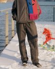 画像6: 【CREST(クレスト】Woollen Flannel Track Pants/ Brown